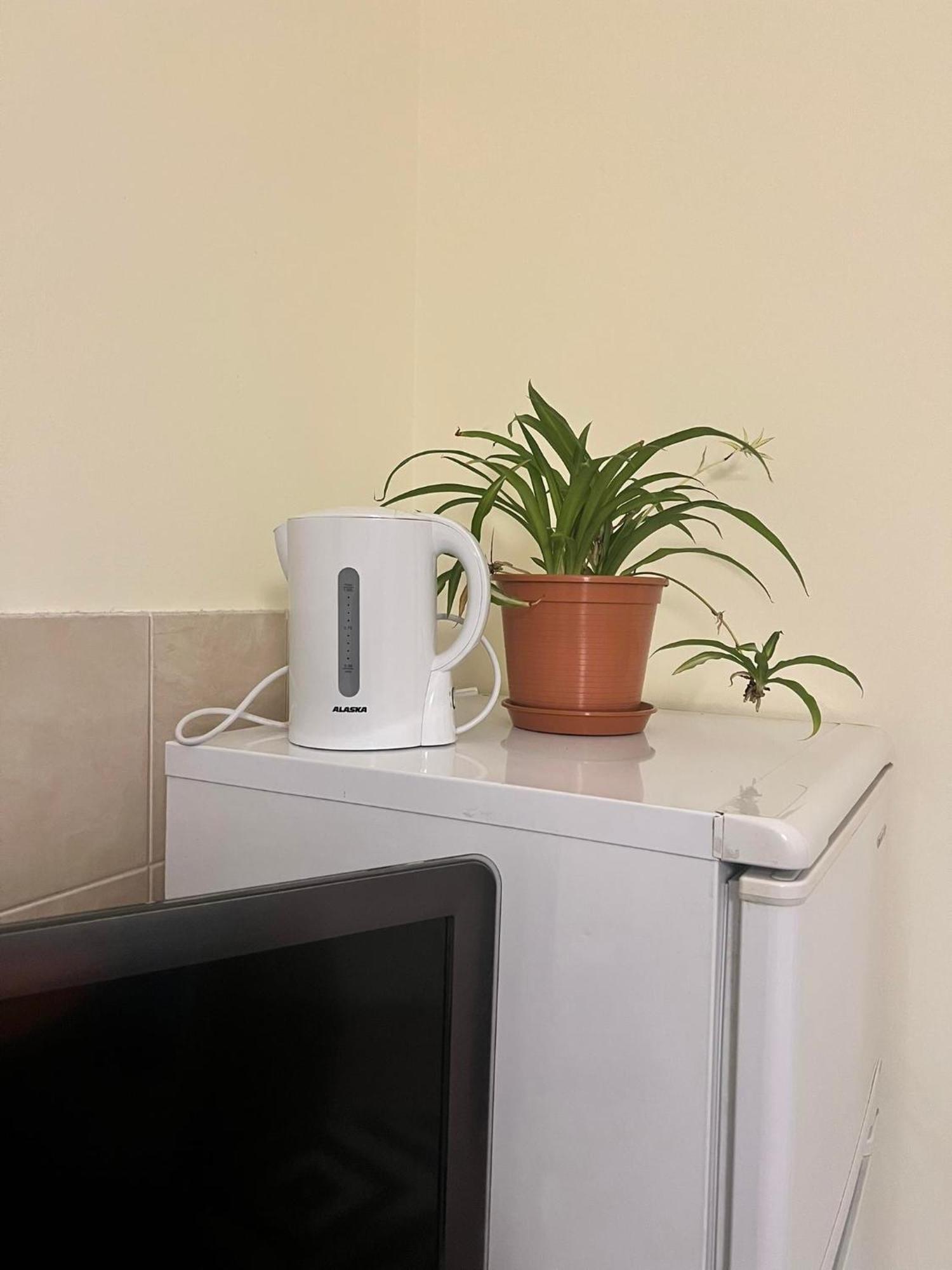 Wohnung 18 Lutherstadt Eisleben Ngoại thất bức ảnh